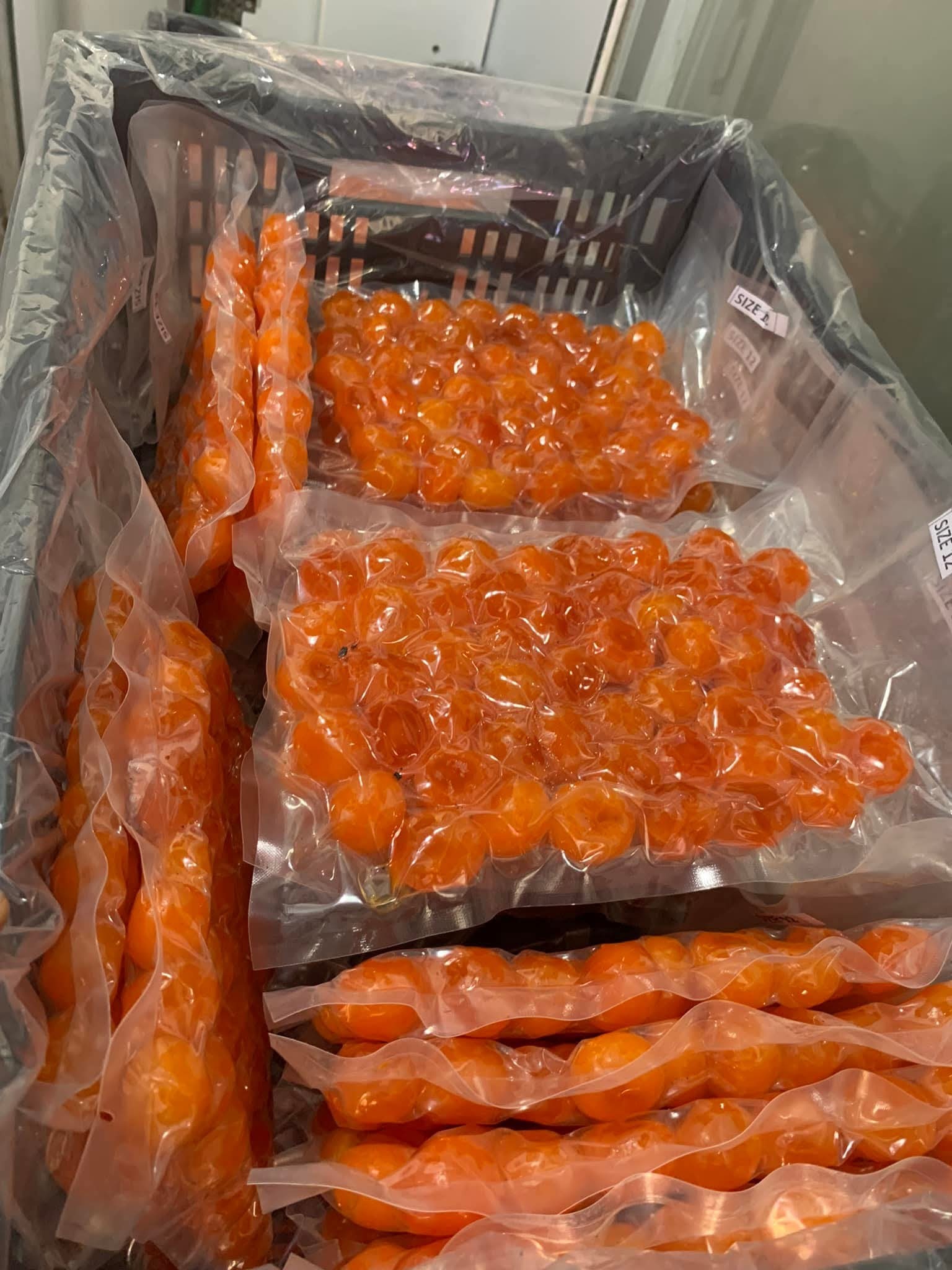 6PG88VN