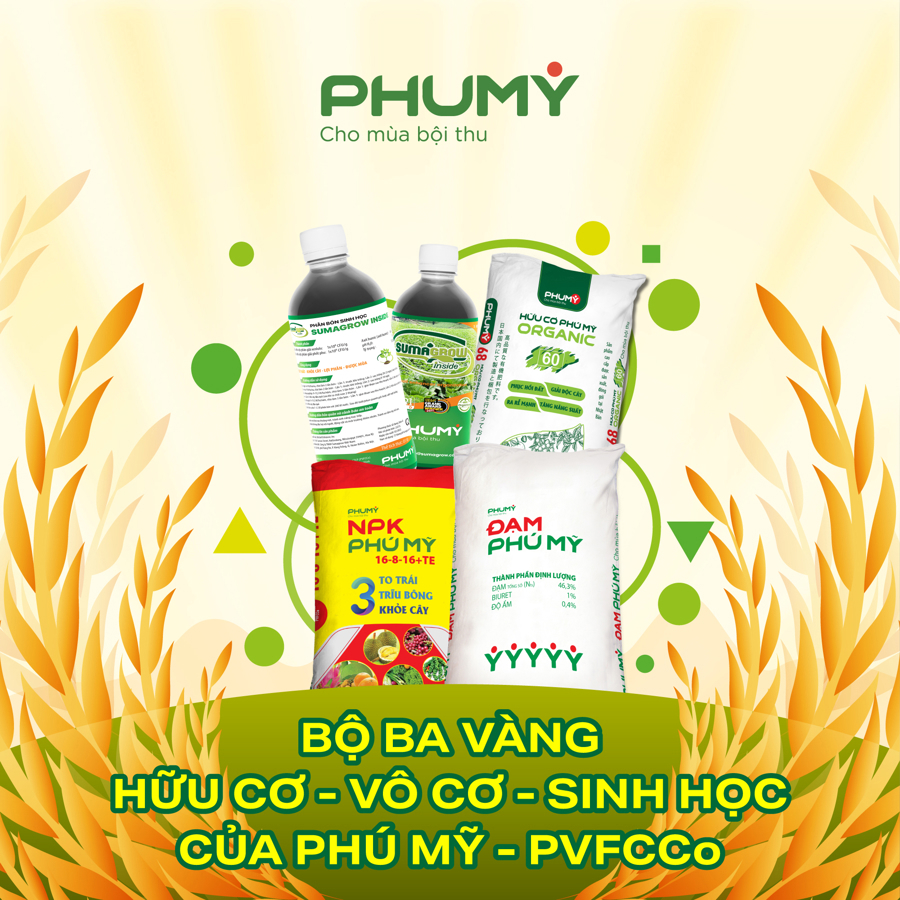 Bộ ba v&agrave;ng của Ph&uacute; Mỹ.