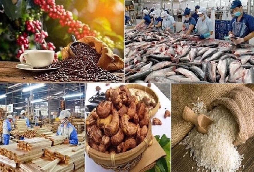 Pg88vnd link khuyến  nông lâm thuỷ sản 7 tháng tăng trưởng gần 15%, cà phê lập kỷ lục mới