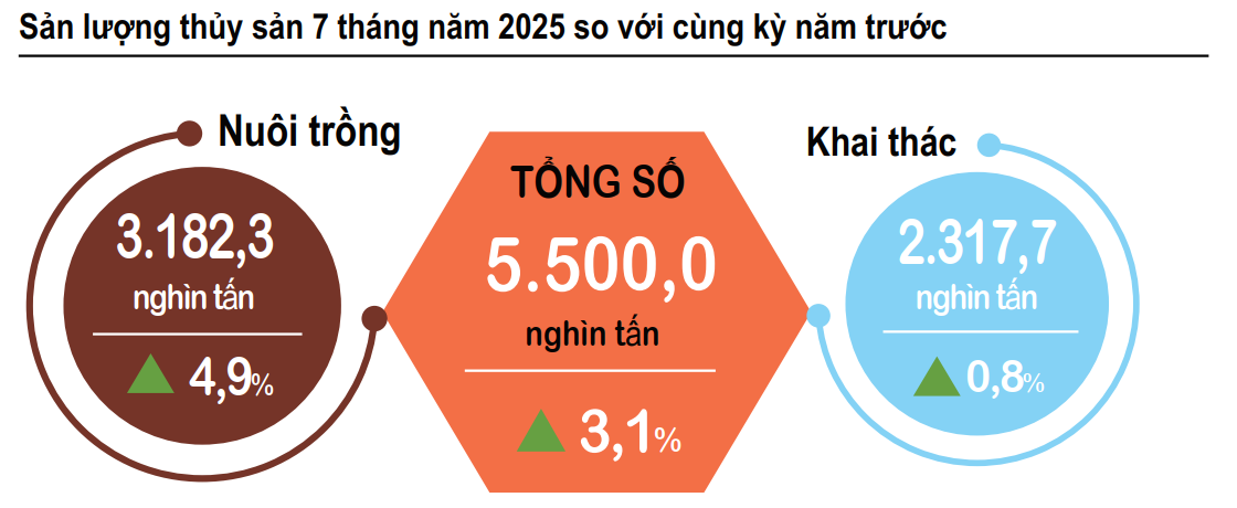 6PG88VN