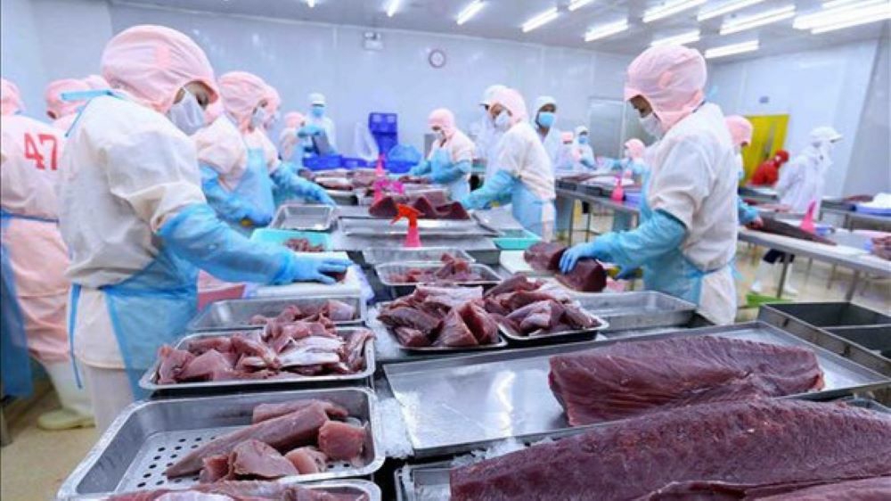 Pg88 com chính chủ cá ngừ đang đối mặt với rất nhiều khó khăn.