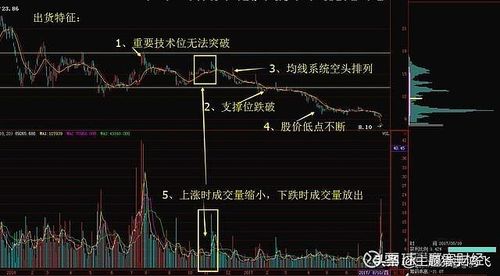 “Tôi đánh giá cao nhà Pg88vn Trang Chủ Chính Thức đã mạo hiểm phát triển condotel sớm” 9