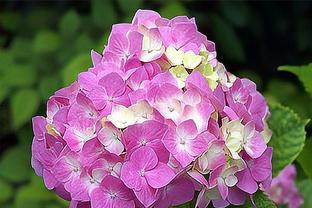 Blog 6PG88 link đăng nhập: Đánh quá “phũ”! 1