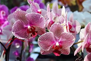 Xu thế dòng tiền: Bứt phá được không? 6