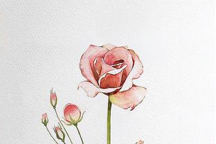 Blog 6PG88 link đăng nhập: Cắt giảm  3