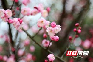 Blog 6PG88 link đăng nhập: Thị trường vẫn ổn 2