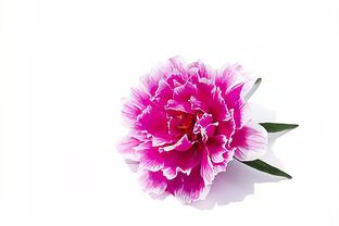 Blog 6PG88 link đăng nhập: Xả hơi bất thường 3