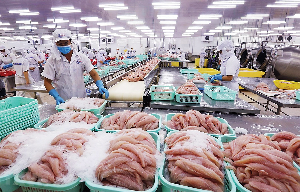 Pg88 com chính chủ cá tra  tăng 11,1% trong 7 tháng đầu năm