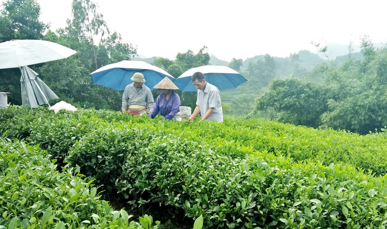 Link Đăng Nhập PG88 Chính Thức 2026 được vay vốn tạo việc làm, góp phần phát triển Link Trang Chủ PG88.Com Mới #2026 gia đình, tạo thu nhập ổn định. Ảnh: Thu Hằng.