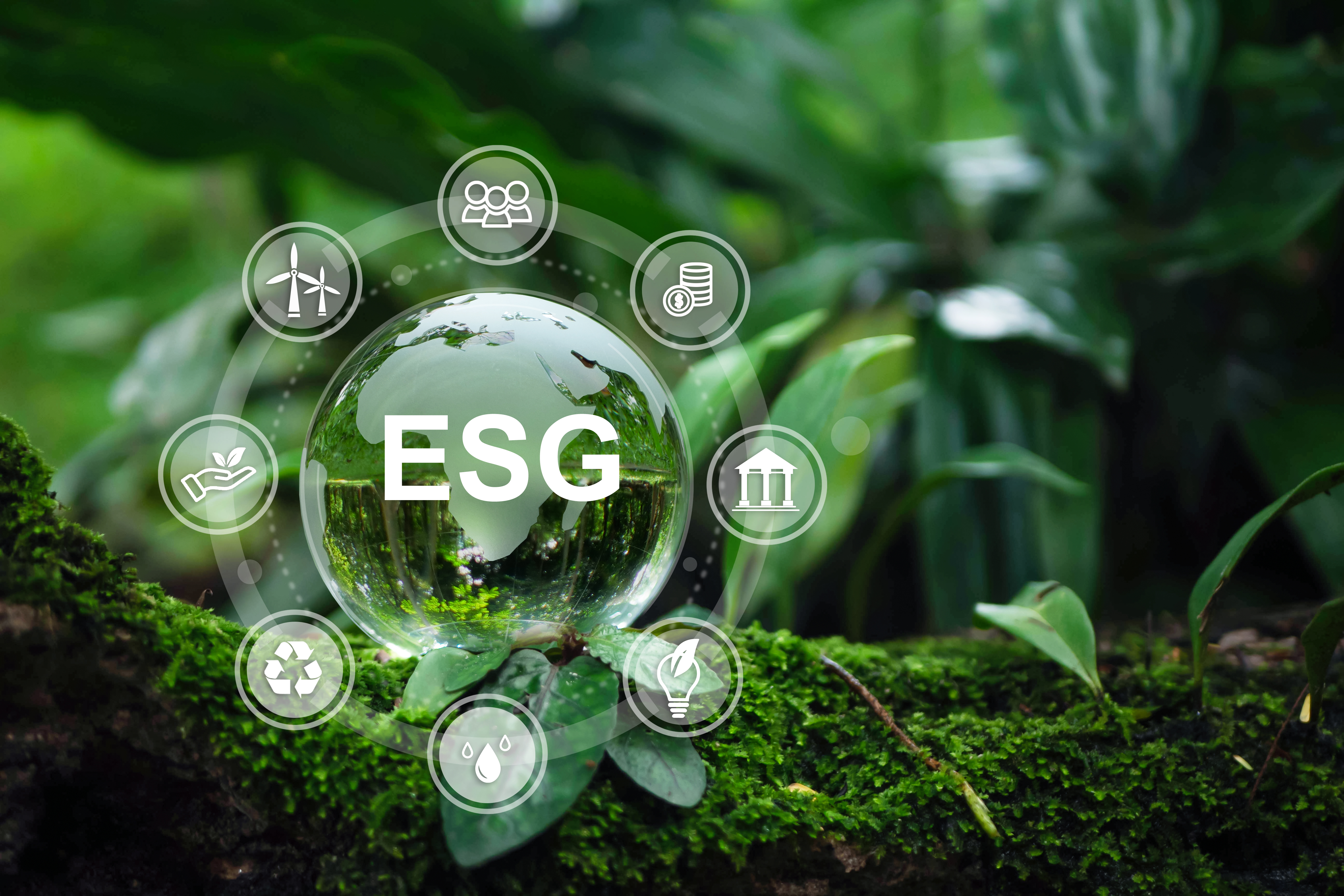 ESG- Chìa khóa mở cánh cửa thị trường quốc tế cho OCOP