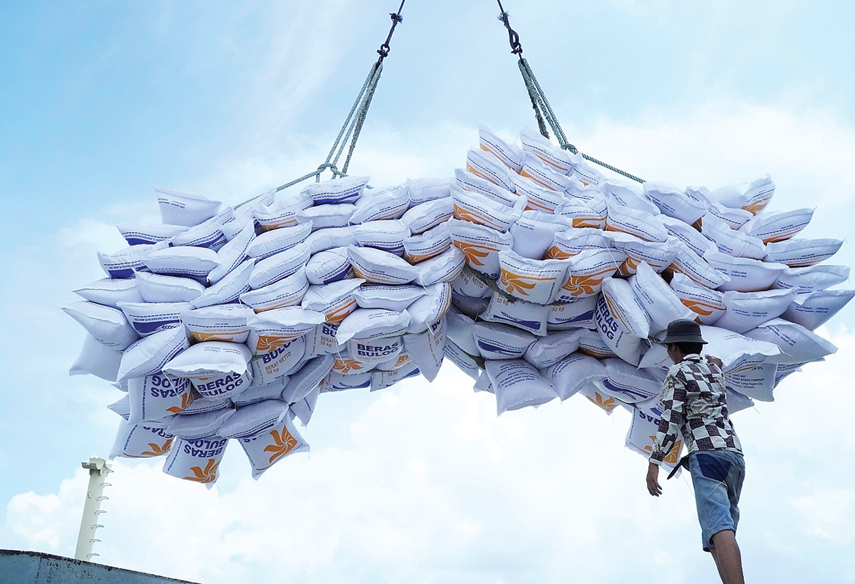 Việt Nam đã khẳng định vị thế của mình trên thị trường Pg88 com chính chủ gạo toàn cầu, vươn lên vị trí thứ hai thế giới về khối lượng Pg88 com chính chủ gạo.