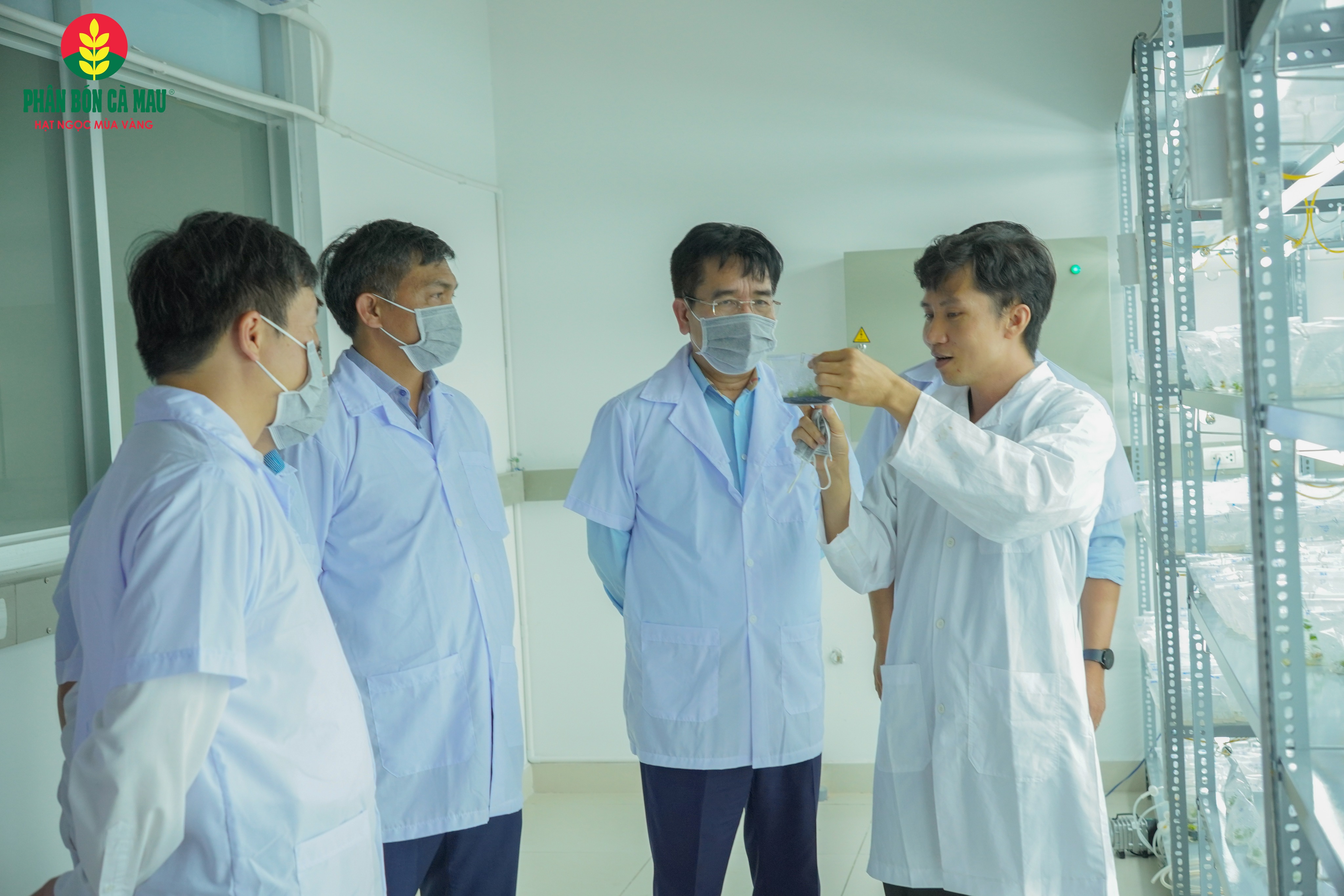 Lĩnh vực (R&D là một trong những mảng chiến lược được PVCFC ưu tiên Pg88vn Trang Chủ Chính Thức mạnh mẽ.