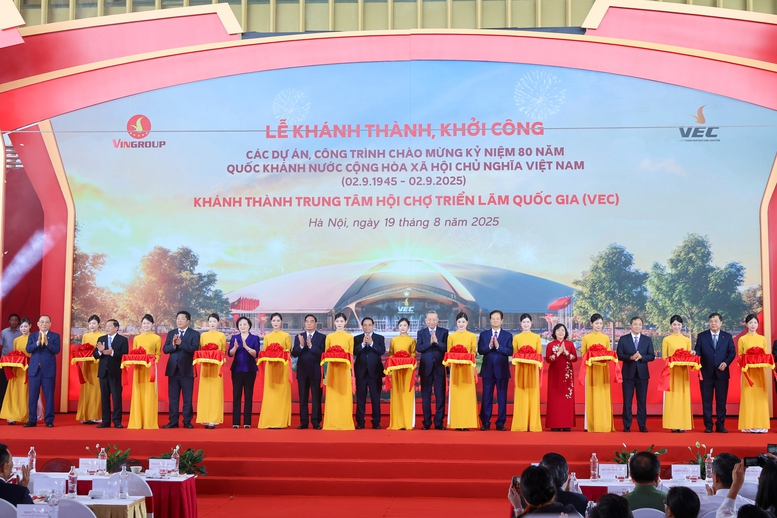 6PG88VN