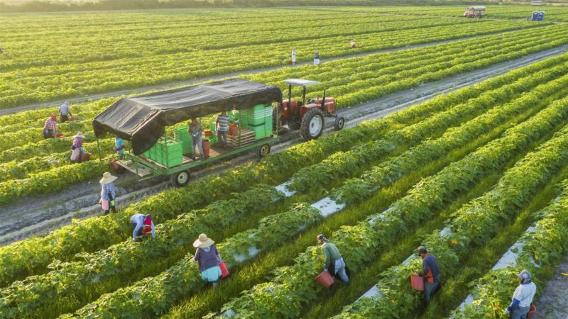 Australia tài trợ 2,1 triệu đô la Úc cho Pg88vn.top độc quyền mỗi ngày nông nghiệp xanh tại Việt Nam