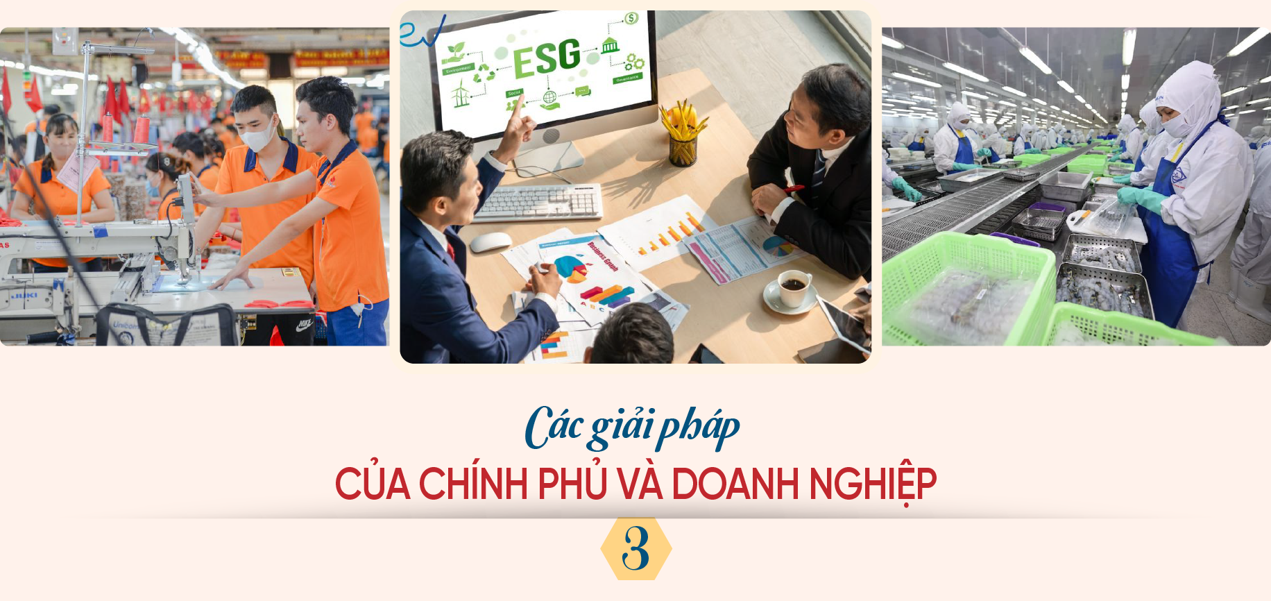 6PG88VN