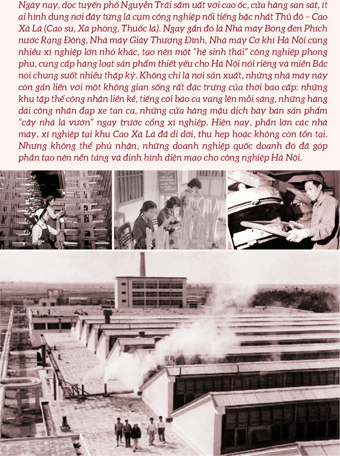 6PG88VN