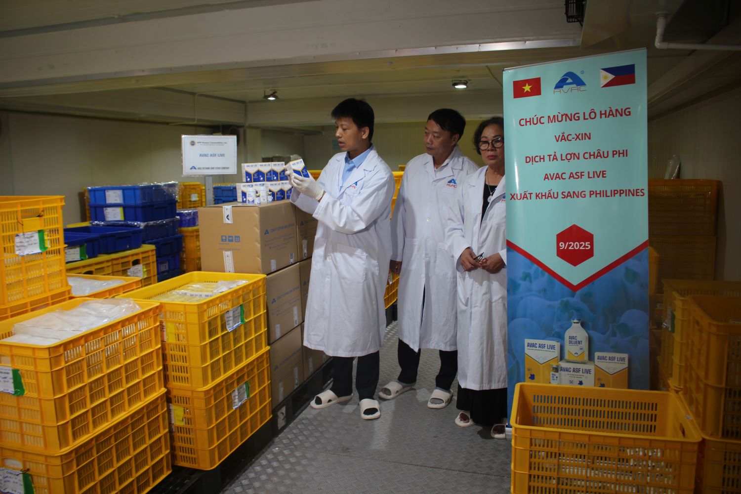 Lô vaccine AVAC ASF LIVE trong kho lạnh trước khi Pg88 com chính chủ đi Philippines. Ảnh Chu Khôi.