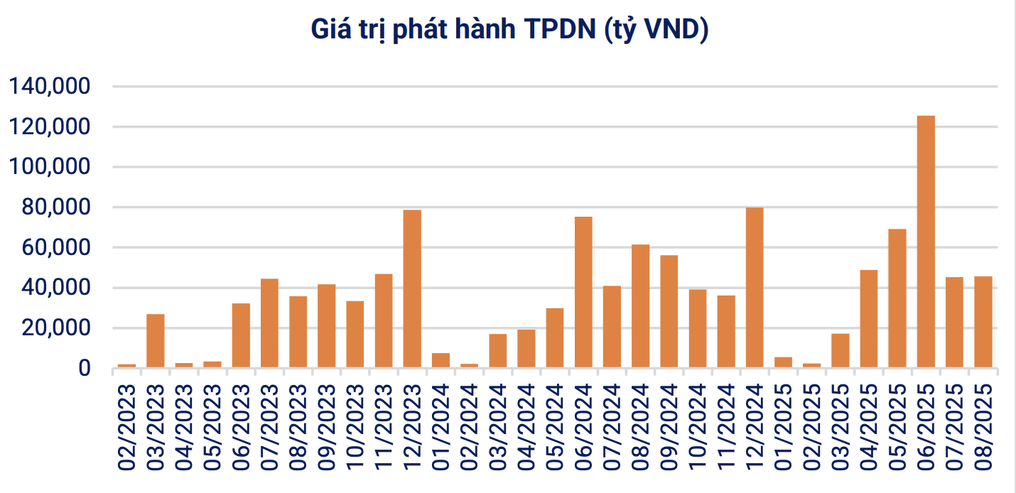 Giá trị phát hành trái phiếu PG88 Link Dễ Nhớ Pg88.com trong tháng 8 (Nguồn: VBMA)