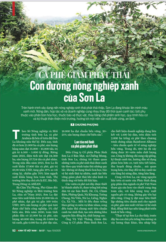 6PG88VN