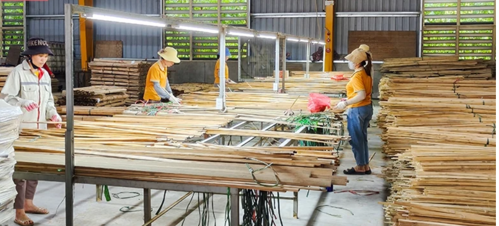 Nhờ có cơ sở chế biến tại chỗ, đầu ra cho luồng thuận lợi hơn, giá trị sản phẩm cũng được nâng lên.
