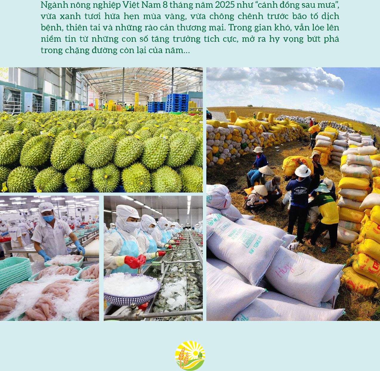 6PG88VN