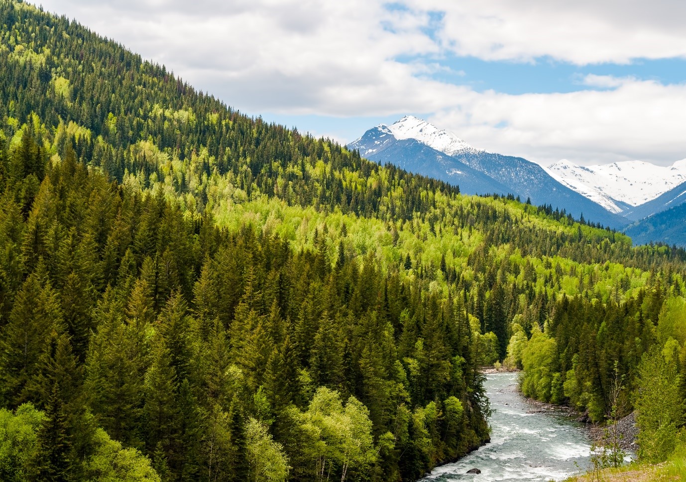Canada hiện là quốc gia dẫn đầu thế giới về chứng chỉ rừng, trong đó British Columbia là tỉnh bang đóng góp nhiều nhất về số lượng rừng được chứng nhận.