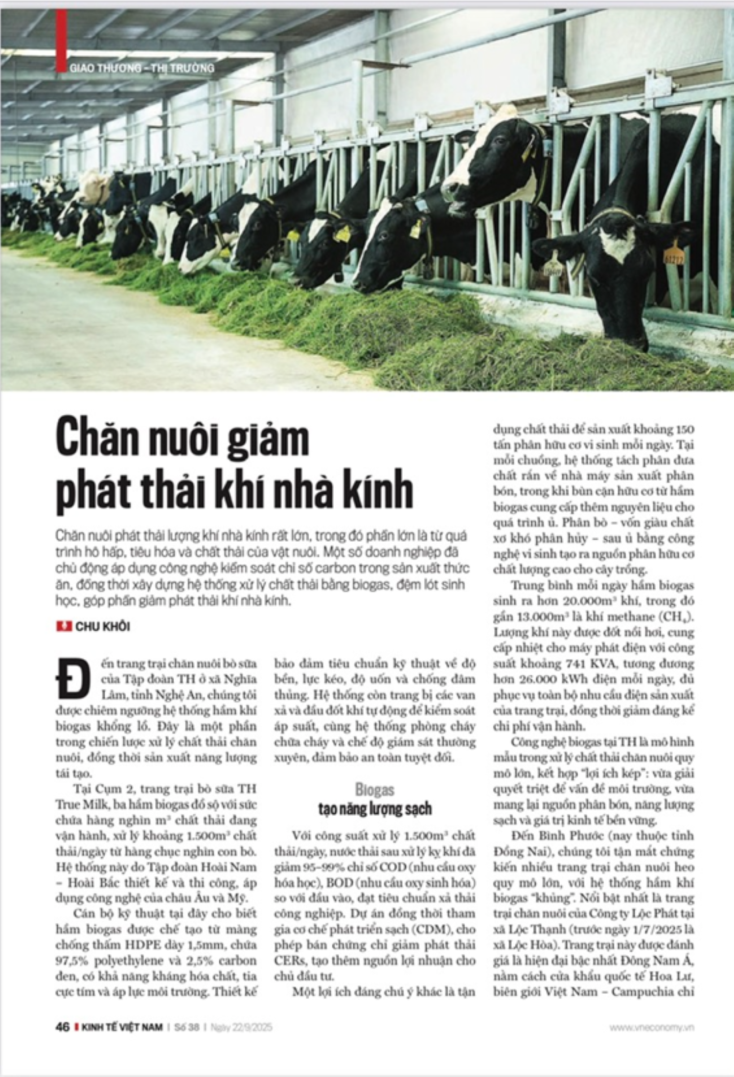 6PG88VN