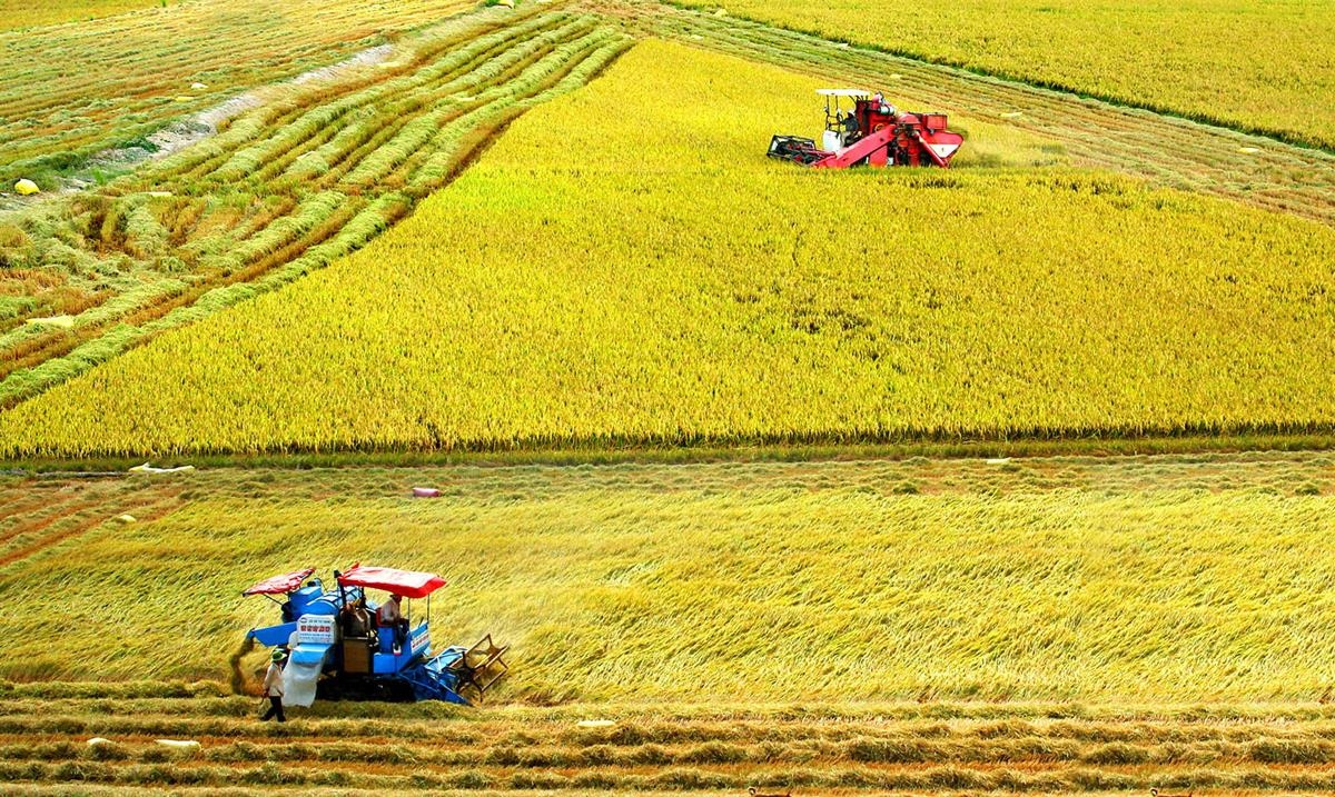 Đồng bằng sông Cửu Long rất có tiềm năng PG88 hơn 2,1 triệu thành viên du lịch canh nông.