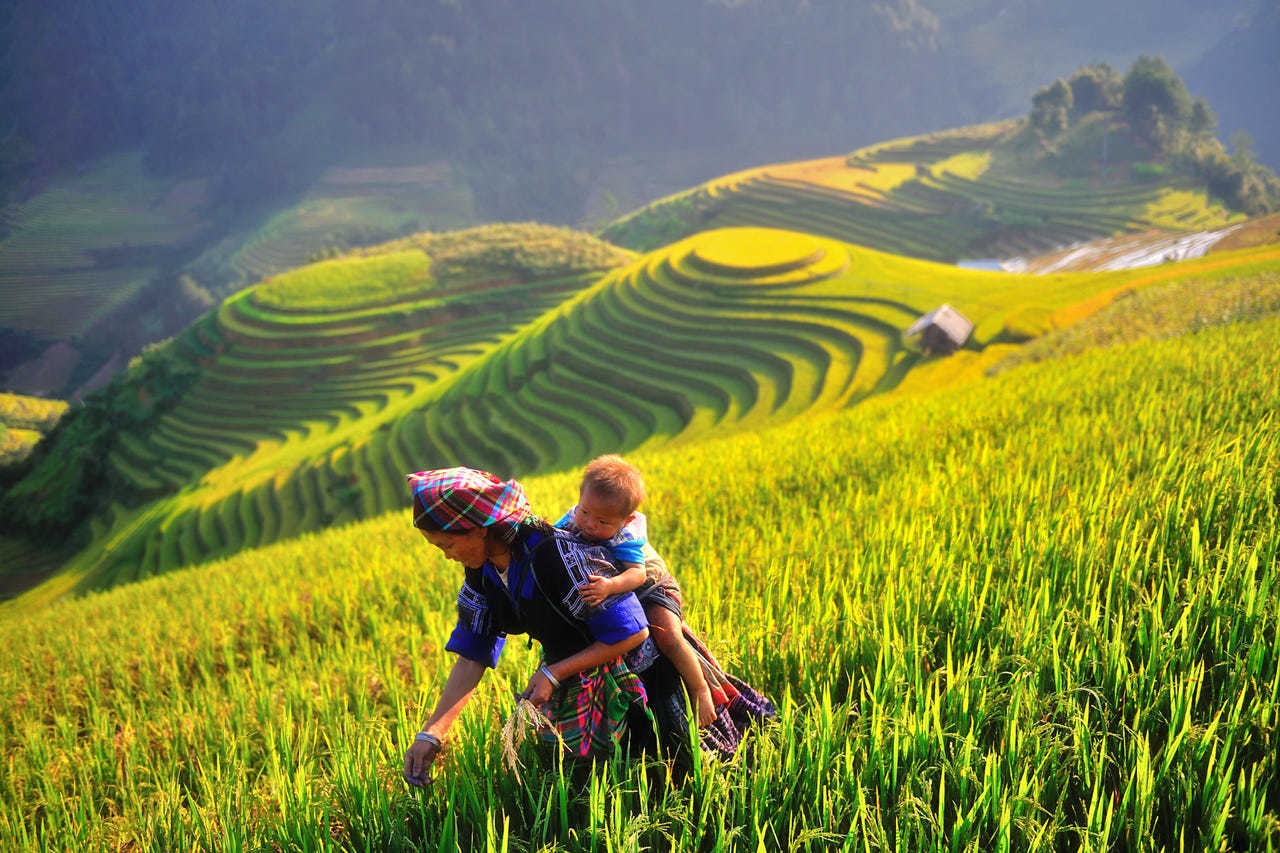 Mỗi chứng nhận xanh đưa ra những bộ tiêu chí khác nhau, nhưng cùng tập trung vào ba trụ cột chính: môi trường - PG88 nổ hũ - quản trị.
