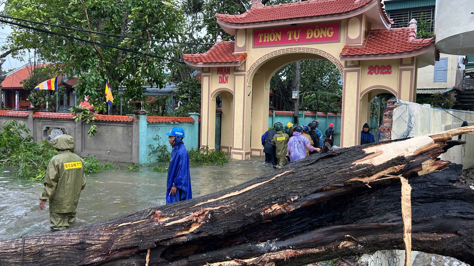 Tại xã Hoằng Phú, hàng chục ngôi nhà bị tốc mái, sập tường; nhiều cây xanh, cột điện gãy đổ chắn đường ray, gây ách tắc đường sắt và mất điện diện rộng.&nbsp;