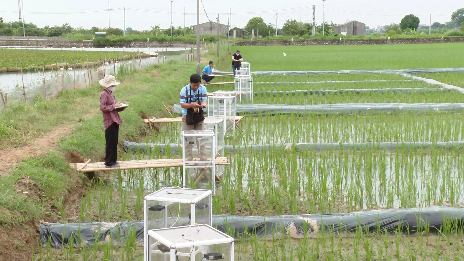 Mục tiêu đến năm 2035, trồng trọt phải góp phần cắt giảm ít nhất 15% lượng phát thải khí nhà kính.
