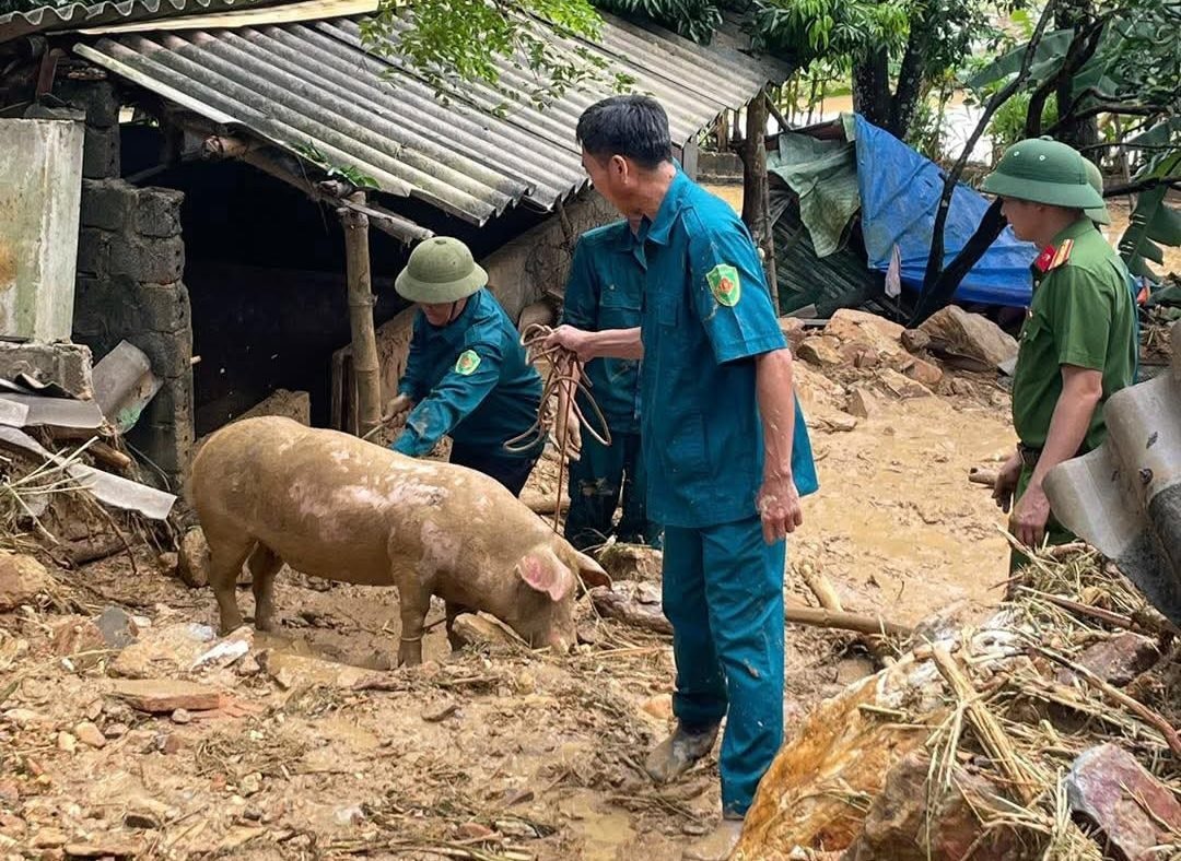 Link Đăng Nhập PG88 Chính Thức 2026 nơi đây mong sớm được hỗ trợ để tái thiết lại cuộc sống