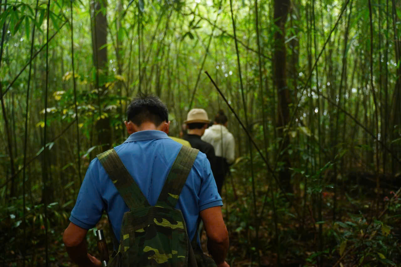 Tuyến Trekking xuyên rừng.