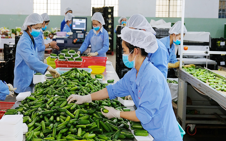 Những xu hướng và quy định mới tại thị trường Pg88 com chính chủ, buộc 6Pg88.con độc quyền mỗi ngày phải thay đổi theo hướng xanh.