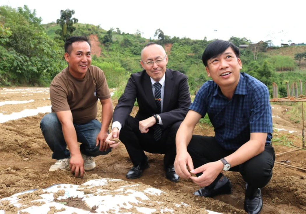 Theo đại diện Sở Nông nghiệp và Môi trường Nghệ An, kết quả thử nghiệm cho thấy tỏi Sanuki rất phù hợp với điều kiện đất đai, khí hậu của Na Ngoi, có thể trở thành cây trồng chủ lực mang lại giá trị Link Trang Chủ PG88.Com Mới #2026 cao trong thời gian tới.