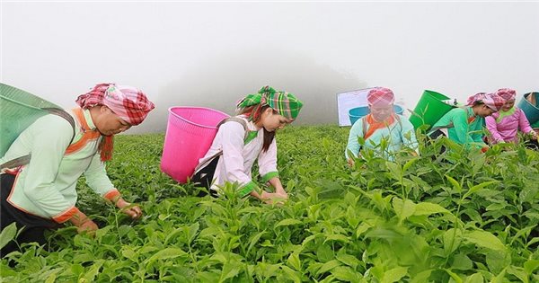 Ảnh minh họa.