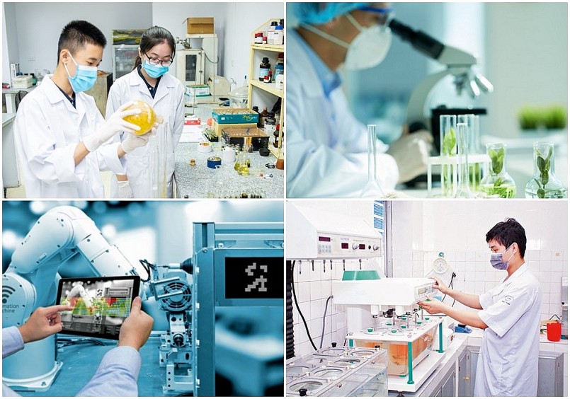 Nhiều tổ chức khoa học và Link Đăng Nhập PG88 Chính Thức 2026; đã đạt được những bước tiến đáng kể.