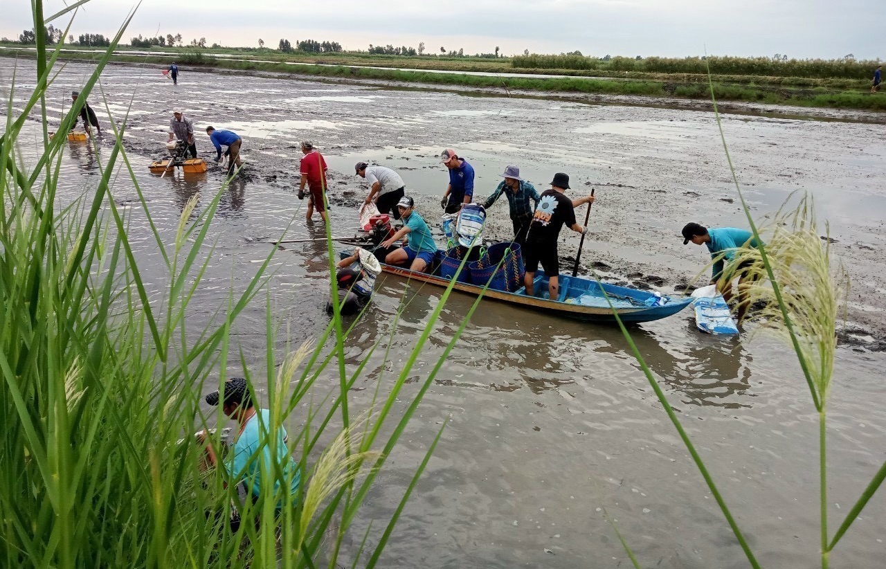 Phát triển nông nghiệp thích ứng với biến đổi khí hậu.