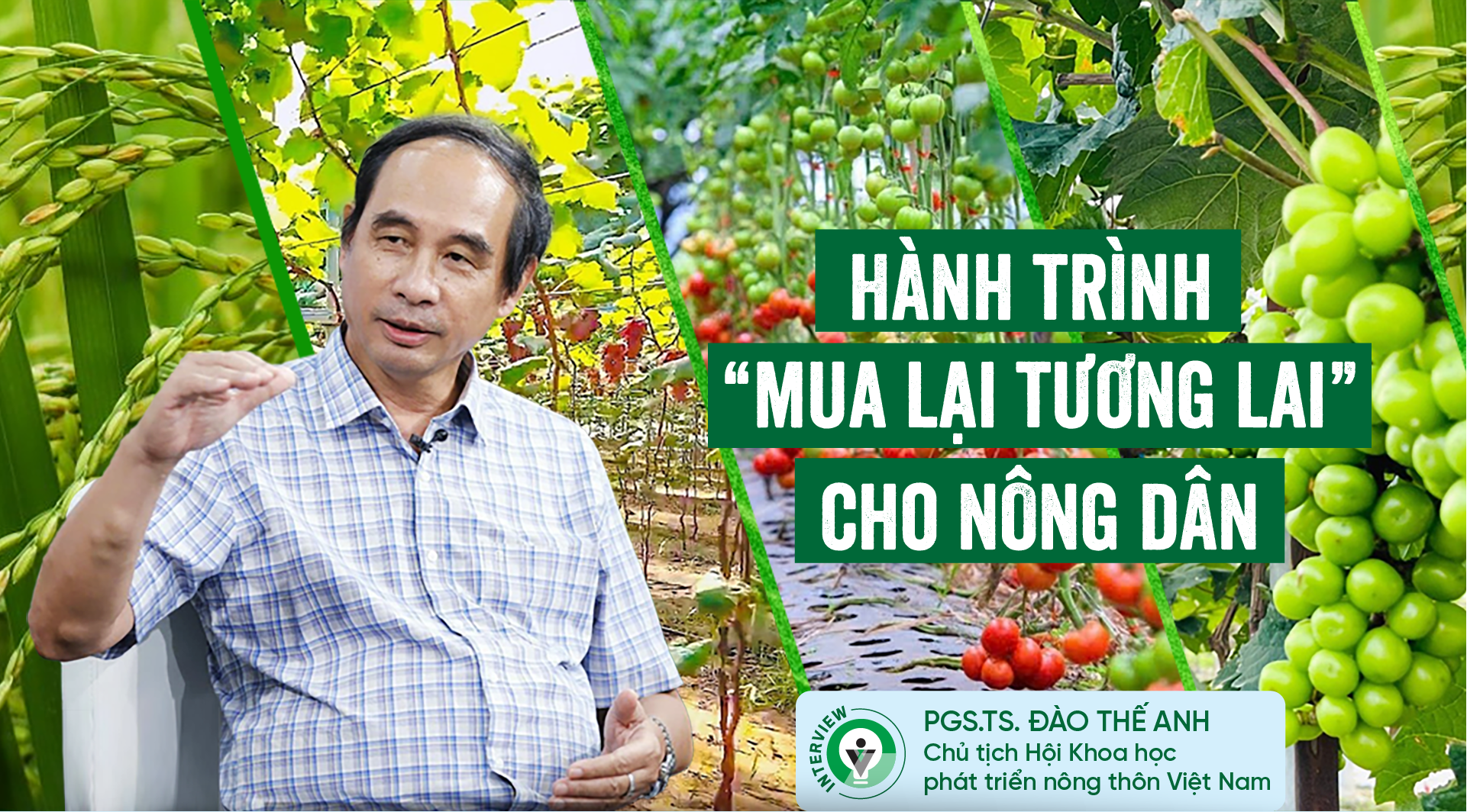 6PG88VN