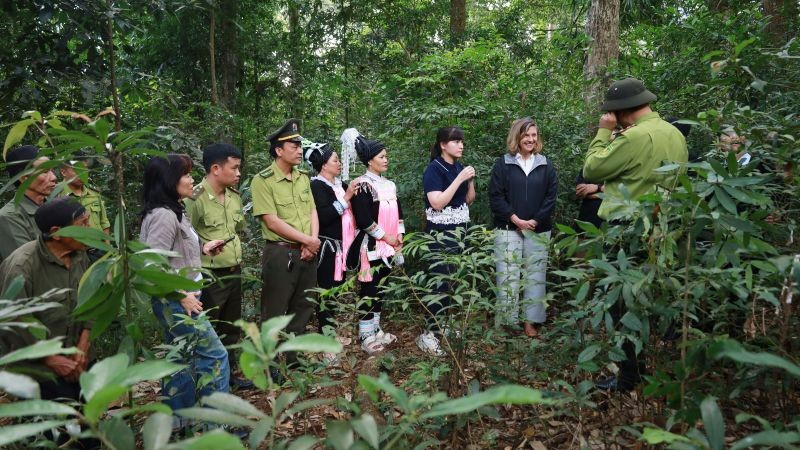 Xây dựng năng lực thực hiện kế hoạch giảm thiểu tác động của biến đổi khí hậu và huy động nguồn Pg88ok giải trí thể thao, casino, bắn cá và slot bền vững để bảo vệ và PG88 hơn 2,1 triệu thành viên rừng.