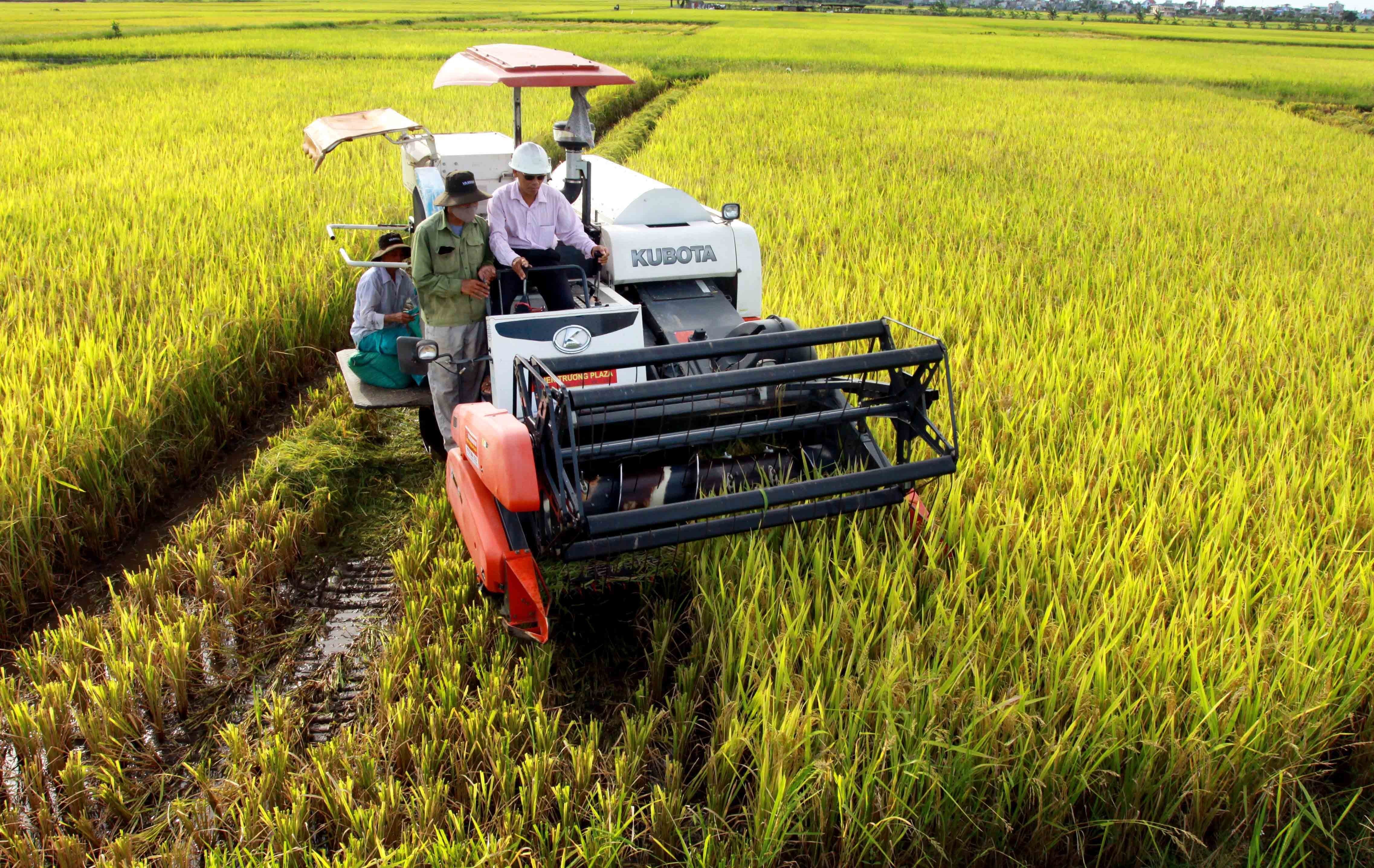 Nhiều mô hình canh tác lúa giảm phát thải, sử dụng phân bón hữu cơ hợp lý và tận dụng phụ phẩm làm phân bón hoặc năng lượng đã cho hiệu quả rõ rệt.