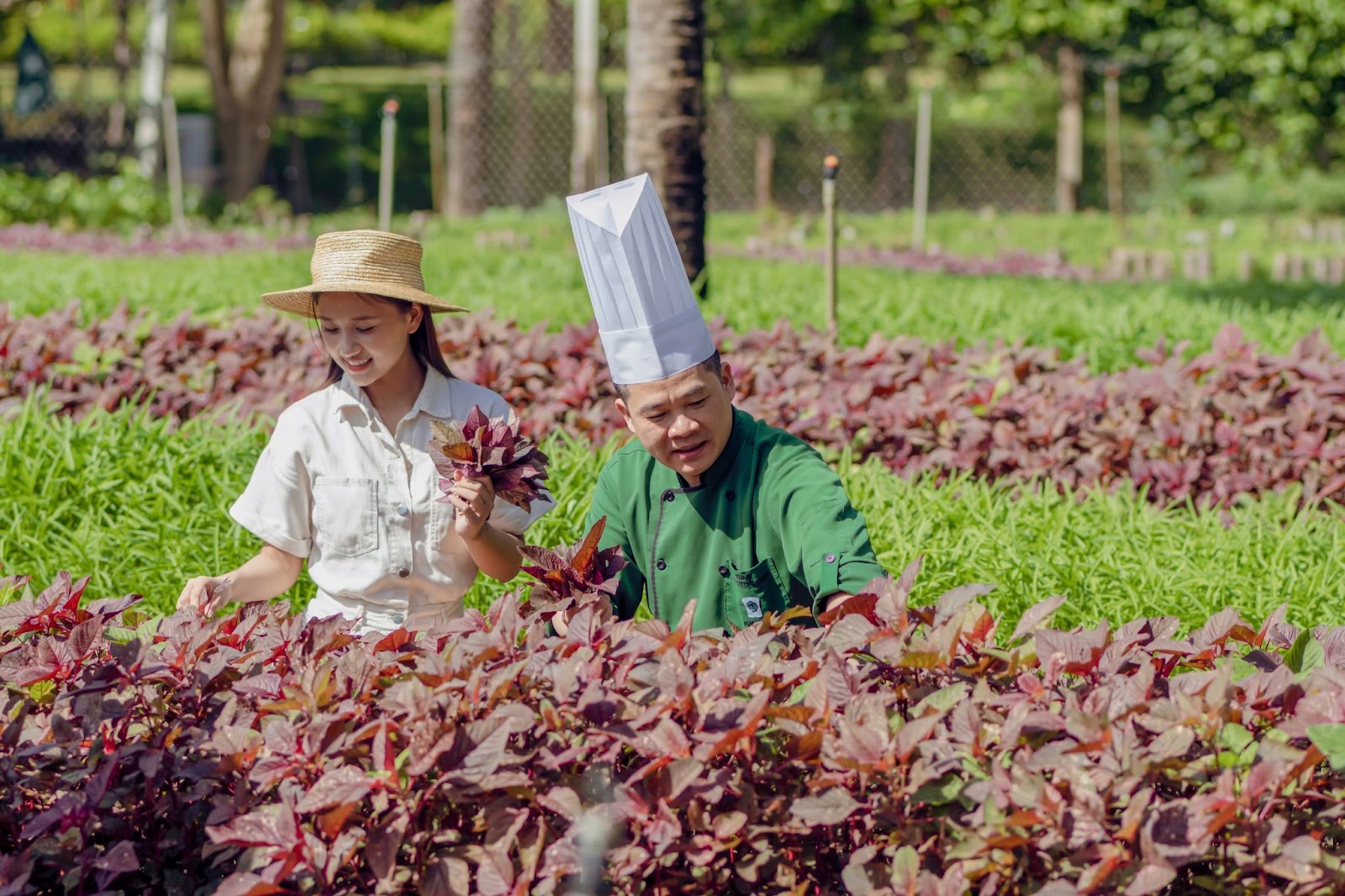Trải nghiệm lưu trú bền vững tại Furama Resort Đà Nẵng.