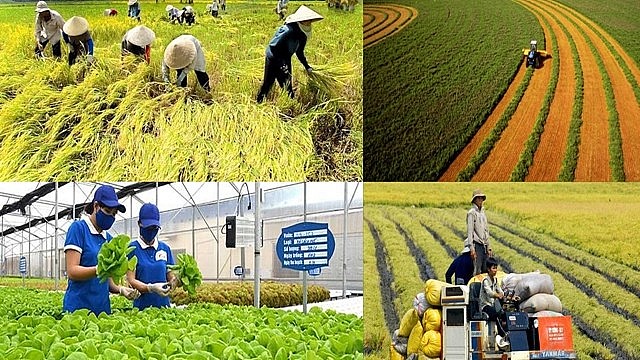 Thời hạn miễn thuế sử dụng đất nông nghiệp quy định tại Nghị định này được thực hiện từ ngày 01/01/2026 đến hết ngày 31/12/2030. Ảnh minh họa