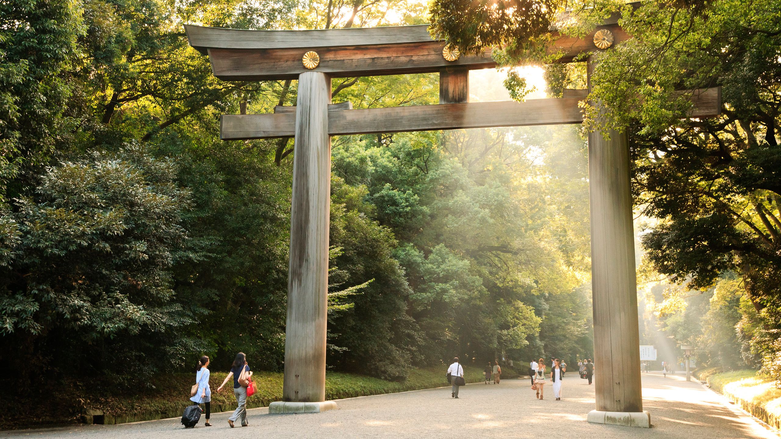 Công viên Yoyogi, Tokyo.