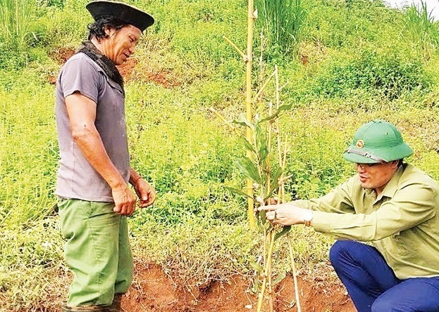 Cao Bằng: Từ chính sách đa chiều đến cây trồng giúp nông dân thoát nghèo bền vững