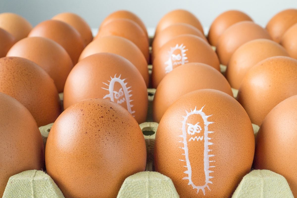 Salmonella phát triển mạnh trong các sản phẩm từ thịt, trứng, sữa, gia cầm và hải sản.