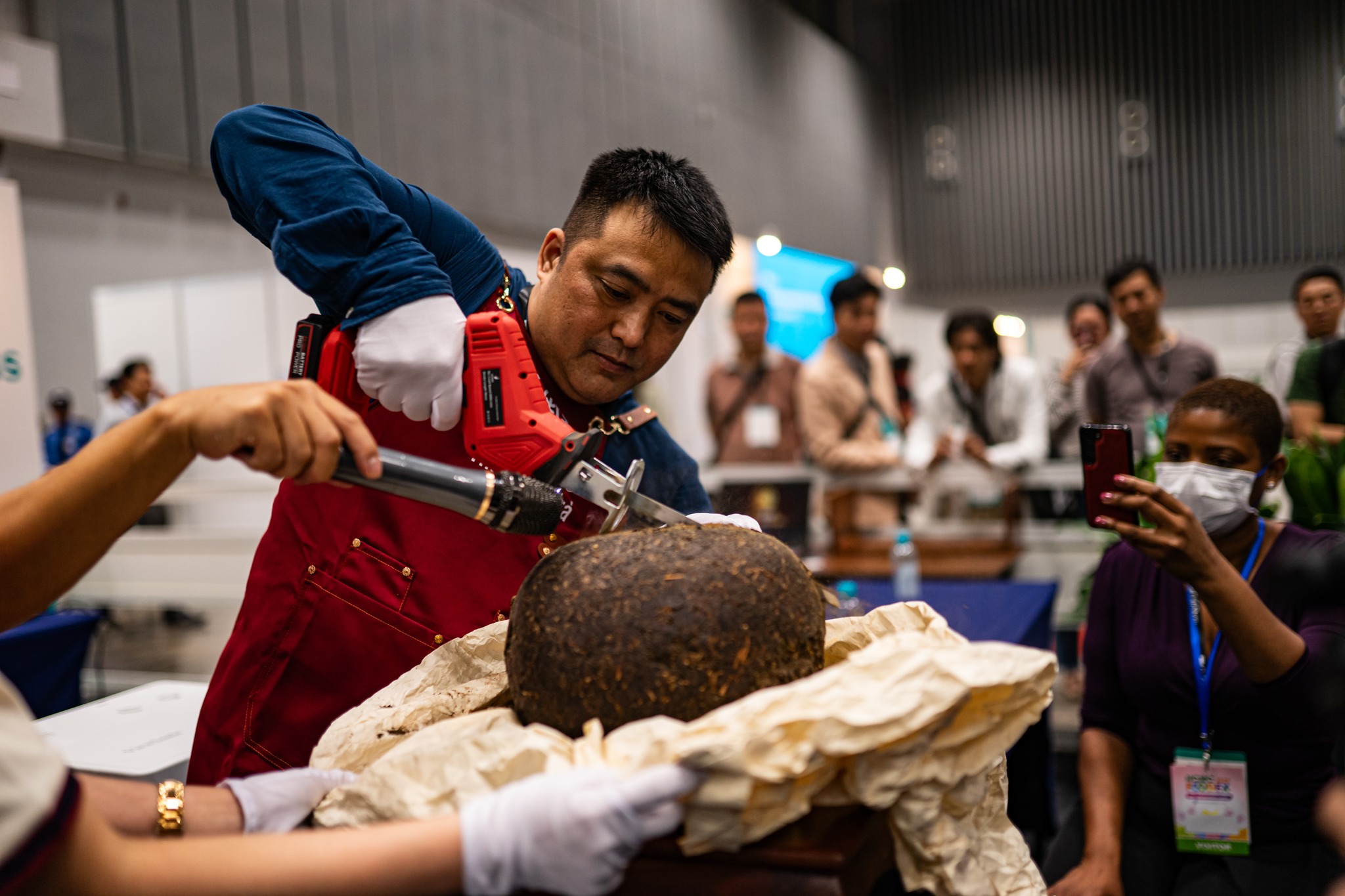 Cafe Show & Tea Show Hanoi 2025 sẽ mang tới những trải nghiệm độc đáo như thạch cổ trà hay Cupping cà phê rang.