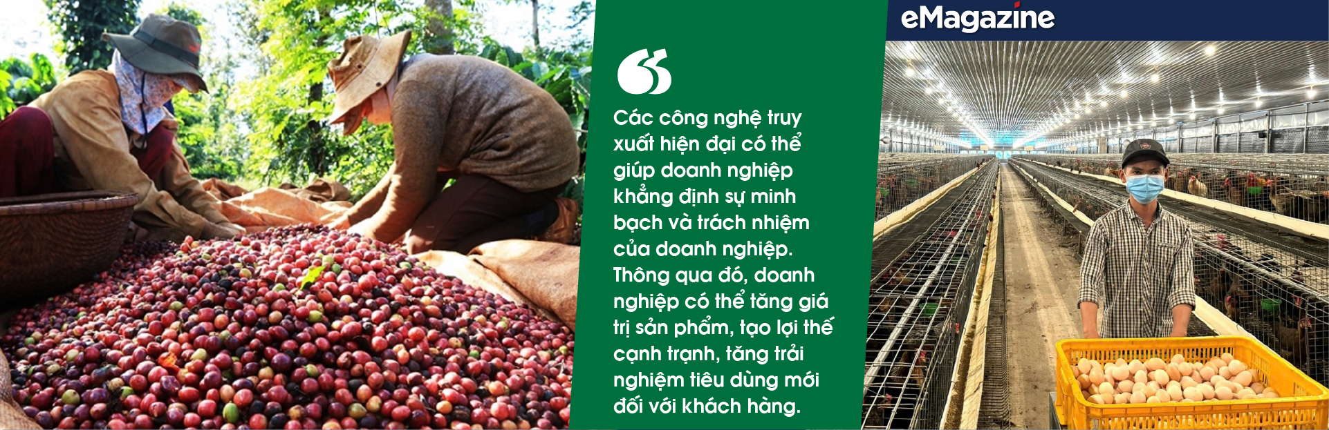6PG88VN