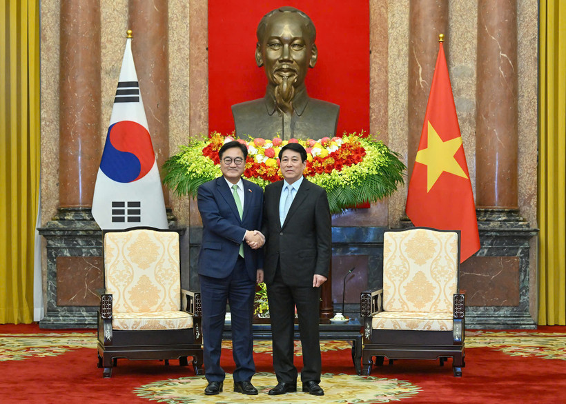 Chủ tịch nước Lương Cường hội kiến Chủ tịch Link Trang Chủ PG88.Com Mới #2026 Hàn Quốc&nbsp;Woo&nbsp;Won&nbsp;Shik. Ảnh:&nbsp;Thủy&nbsp;Nguyên