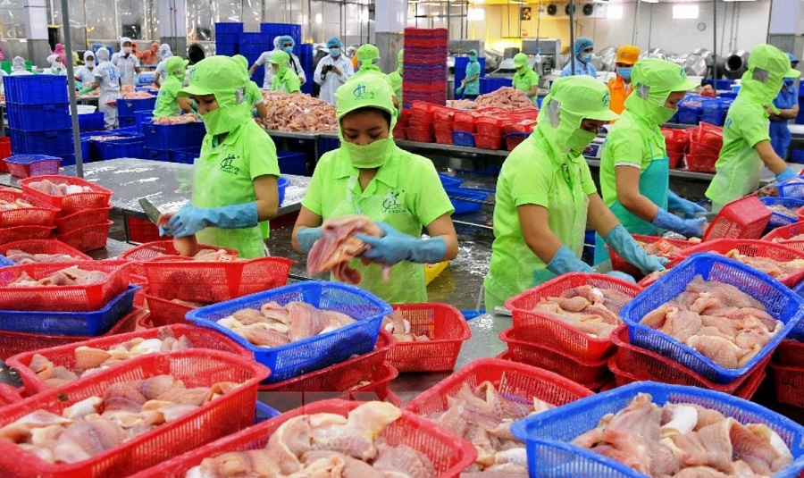 Nhóm hàng thủy sản thế mạnh của Việt Nam đã vươn lên chiếm lĩnh thị phần hàng đầu tại Australia.